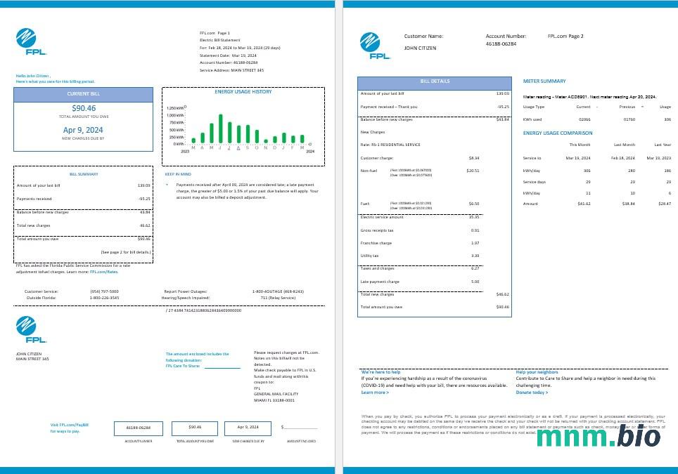 USA FPL elektryczność  pożytek rachunek Word i PDF formaty, 2 strony, Wersja 2